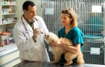 Veterinary Technician: Education and Career Information