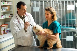 Veterinary Technician: Education and Career Information