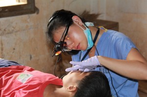 Public Health Dentist: Education and Career Information